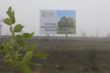 RİİB könüllüləri Topxana meşəsində ağac əkdi