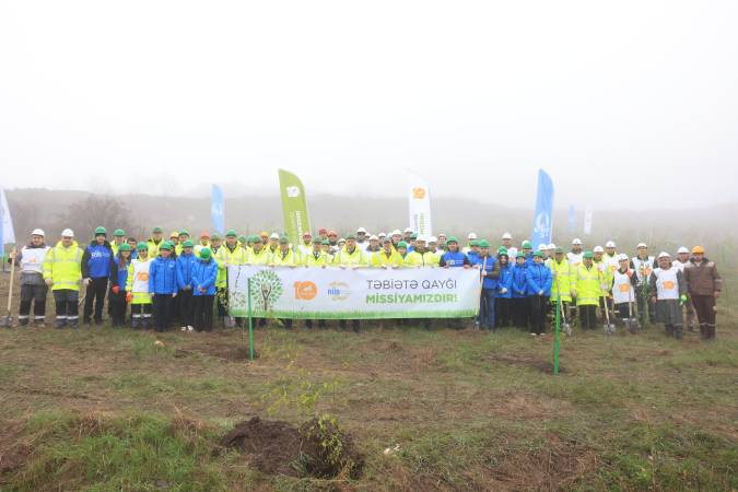 Daşkəsən rayonunda silsilə ağacəkmə aksiyaları keçirilib